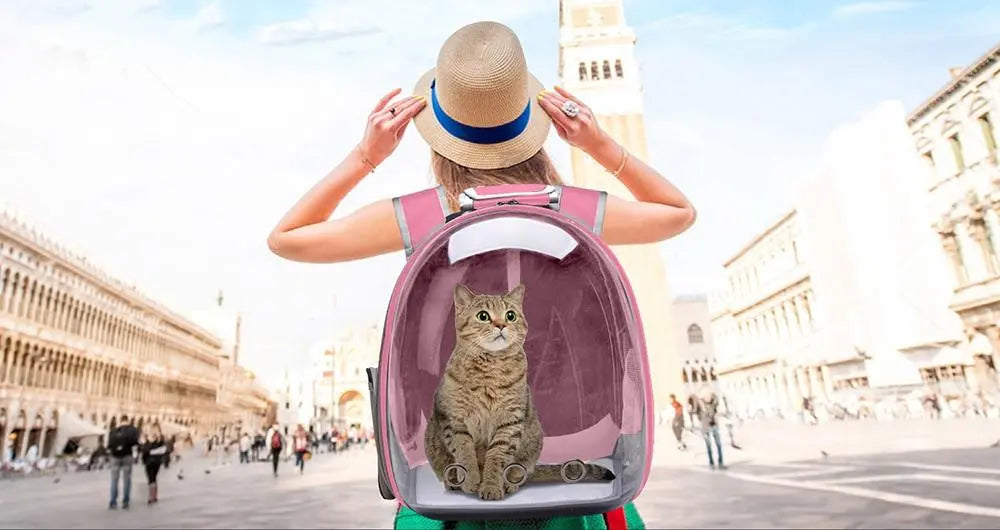 Sac de Voyage pour Chat Voyage Paisible