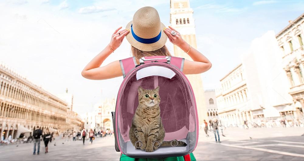 Sac de Voyage pour Chat